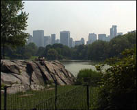 Central Park à New York