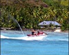 Les bruyants jetski provoquent aussi l'exode massif des habitants du lagon.